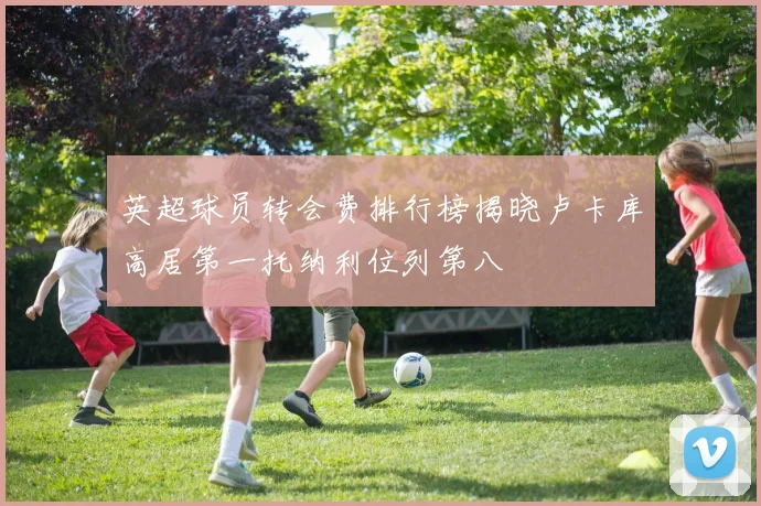 英超球员转会费排行榜揭晓卢卡库高居第一托纳利位列第八