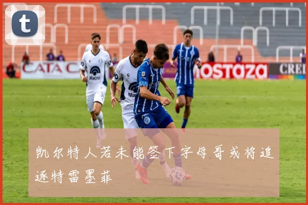 凯尔特人若未能签下字母哥或将追逐特雷墨菲